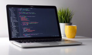 プログラミング言語の習得